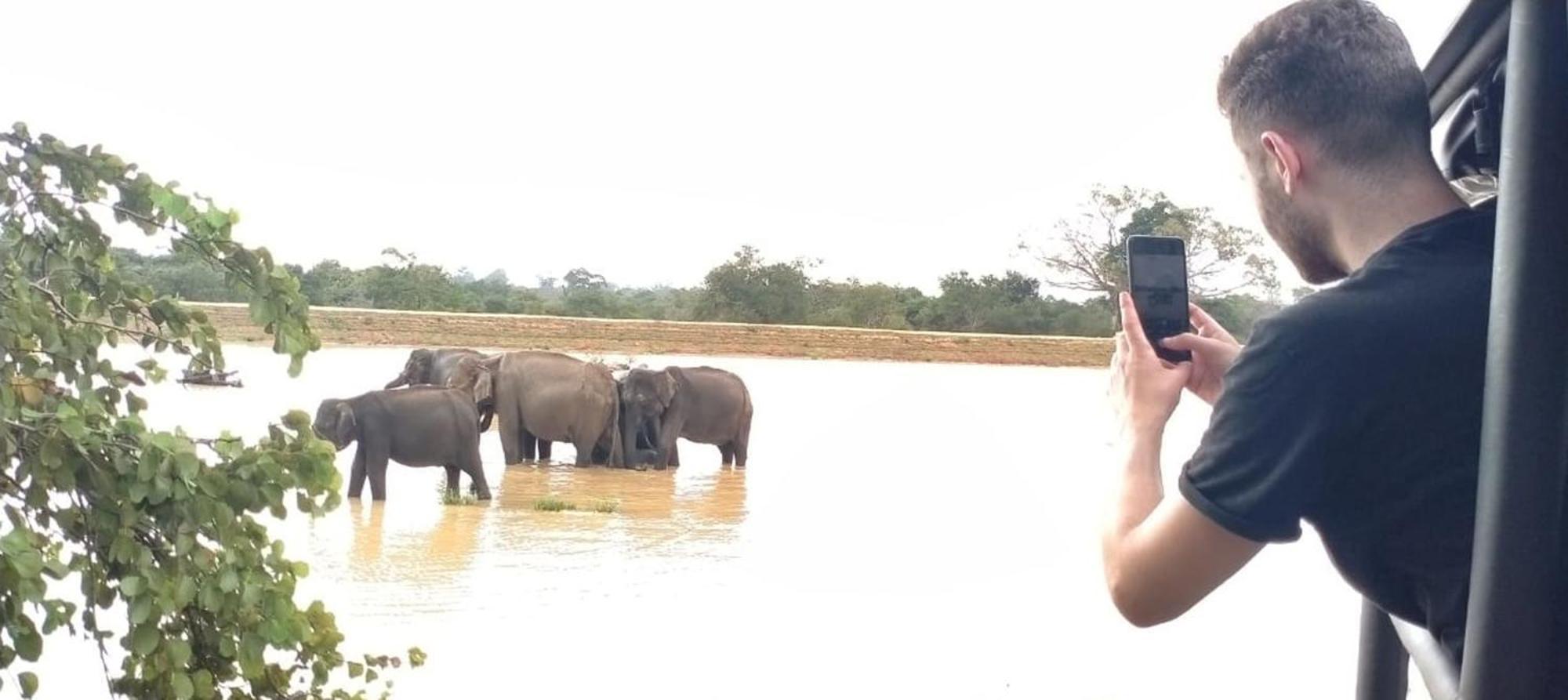 Wild Eagle Safari Resort Udawalawe Bagian luar foto